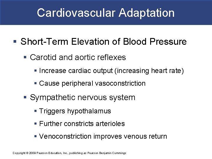 Cardiovascular Adaptation § Short-Term Elevation of Blood Pressure § Carotid and aortic reflexes §