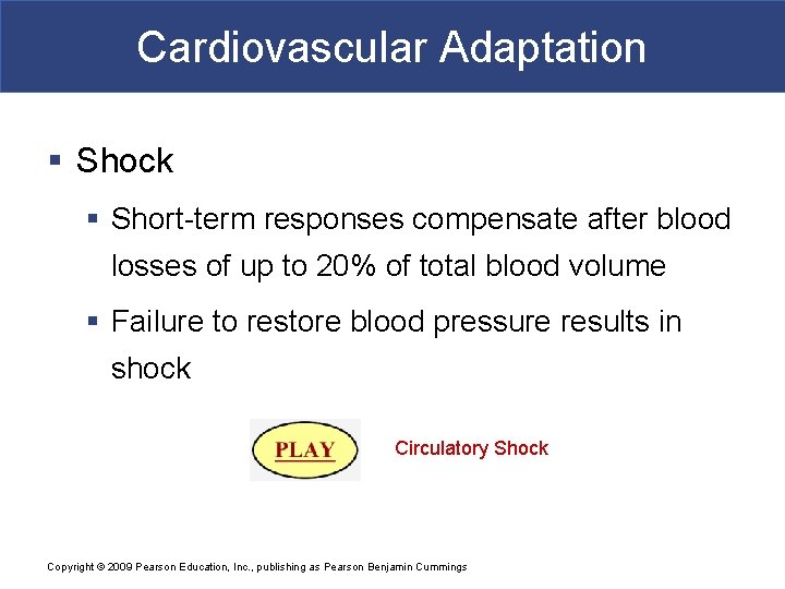 Cardiovascular Adaptation § Shock § Short-term responses compensate after blood losses of up to