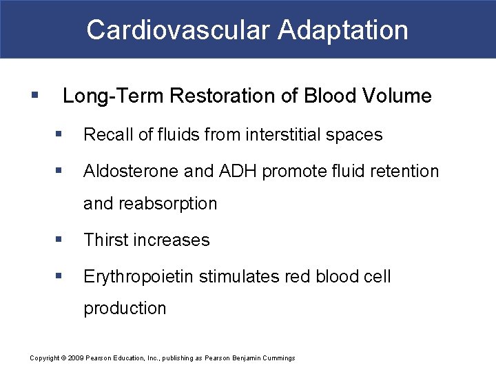 Cardiovascular Adaptation § Long-Term Restoration of Blood Volume § Recall of fluids from interstitial