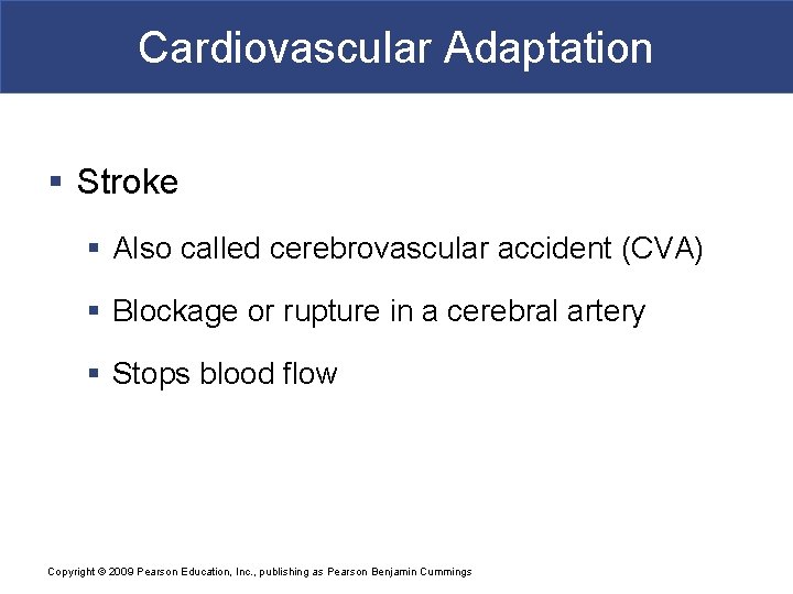 Cardiovascular Adaptation § Stroke § Also called cerebrovascular accident (CVA) § Blockage or rupture