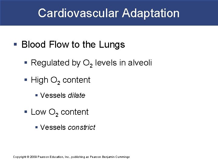 Cardiovascular Adaptation § Blood Flow to the Lungs § Regulated by O 2 levels