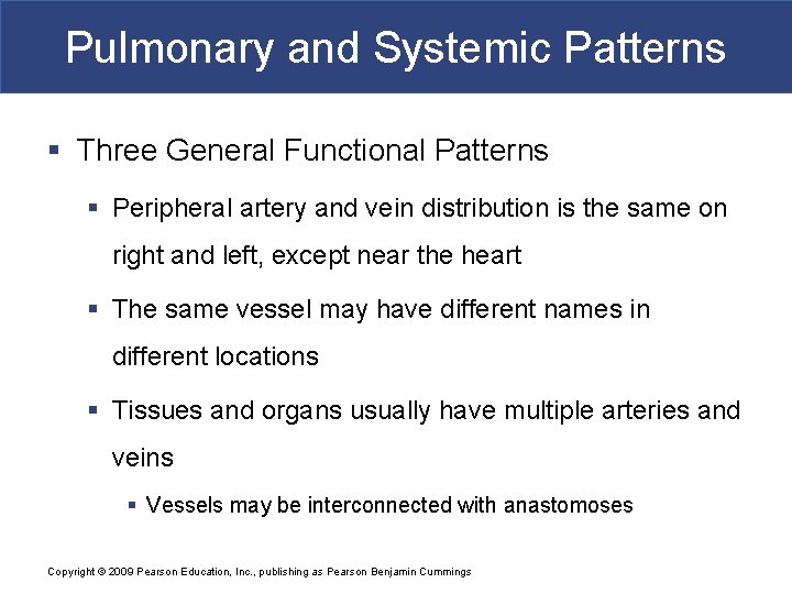 Pulmonary and Systemic Patterns § Three General Functional Patterns § Peripheral artery and vein
