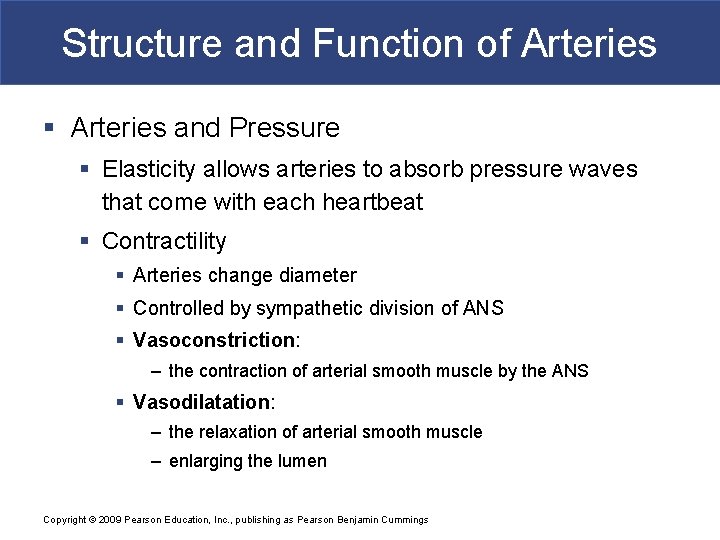 Structure and Function of Arteries § Arteries and Pressure § Elasticity allows arteries to