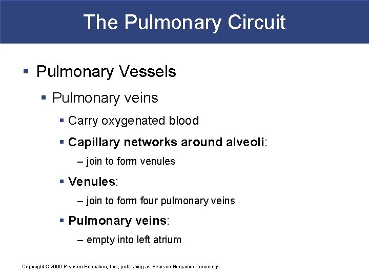 The Pulmonary Circuit § Pulmonary Vessels § Pulmonary veins § Carry oxygenated blood §