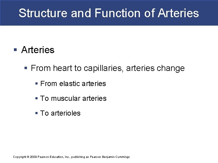 Structure and Function of Arteries § From heart to capillaries, arteries change § From