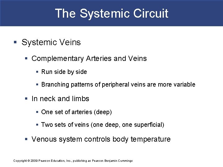The Systemic Circuit § Systemic Veins § Complementary Arteries and Veins § Run side