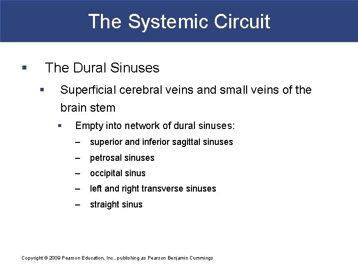 The Systemic Circuit § The Dural Sinuses § Superficial cerebral veins and small veins