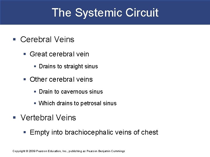 The Systemic Circuit § Cerebral Veins § Great cerebral vein § Drains to straight