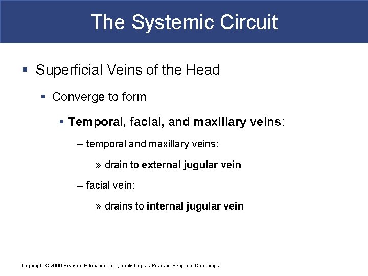 The Systemic Circuit § Superficial Veins of the Head § Converge to form §