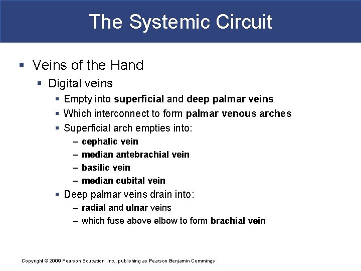 The Systemic Circuit § Veins of the Hand § Digital veins § Empty into
