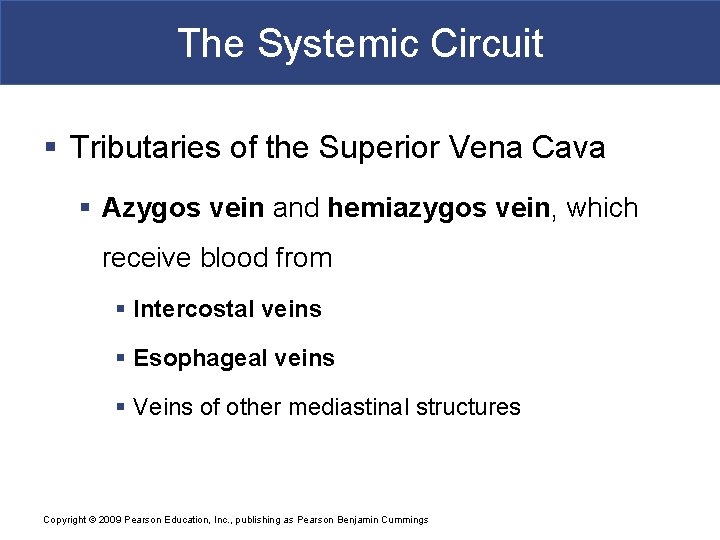 The Systemic Circuit § Tributaries of the Superior Vena Cava § Azygos vein and