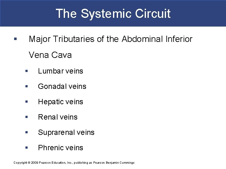 The Systemic Circuit § Major Tributaries of the Abdominal Inferior Vena Cava § Lumbar