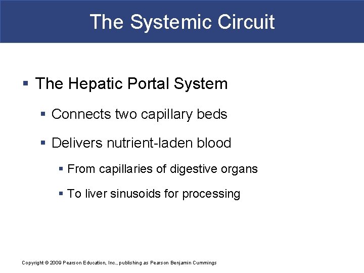 The Systemic Circuit § The Hepatic Portal System § Connects two capillary beds §