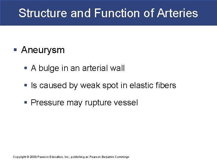Structure and Function of Arteries § Aneurysm § A bulge in an arterial wall