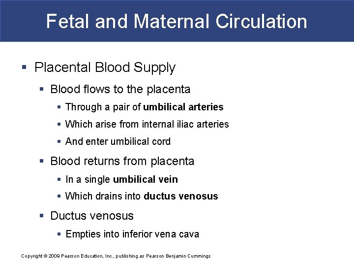 Fetal and Maternal Circulation § Placental Blood Supply § Blood flows to the placenta