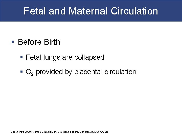 Fetal and Maternal Circulation § Before Birth § Fetal lungs are collapsed § O
