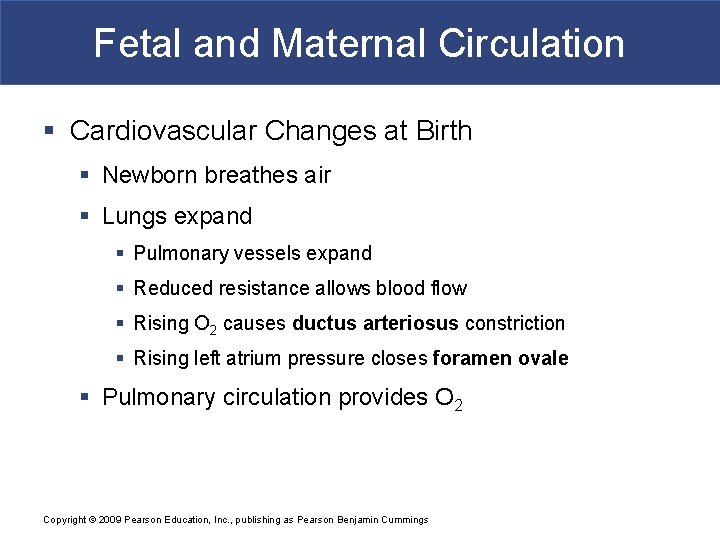 Fetal and Maternal Circulation § Cardiovascular Changes at Birth § Newborn breathes air §