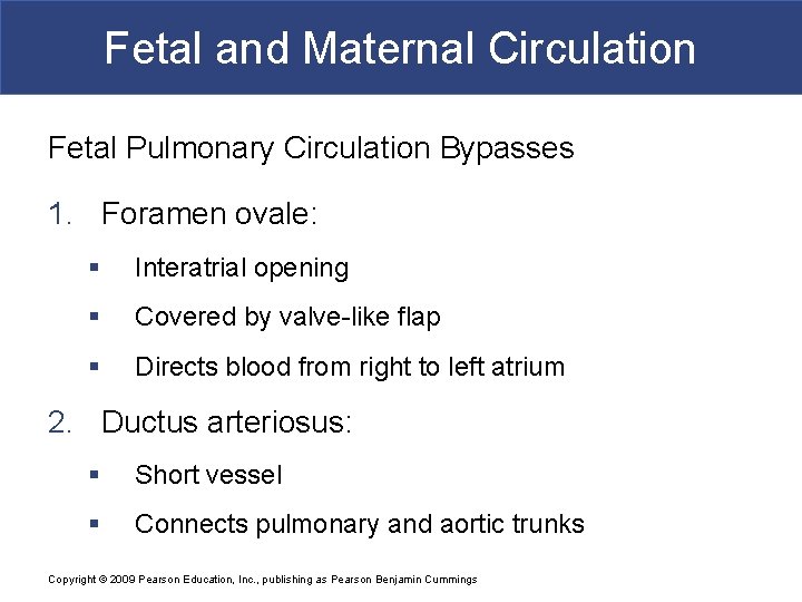 Fetal and Maternal Circulation Fetal Pulmonary Circulation Bypasses 1. Foramen ovale: § Interatrial opening