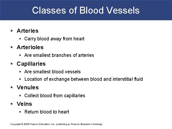 Classes of Blood Vessels § Arteries § Carry blood away from heart § Arterioles