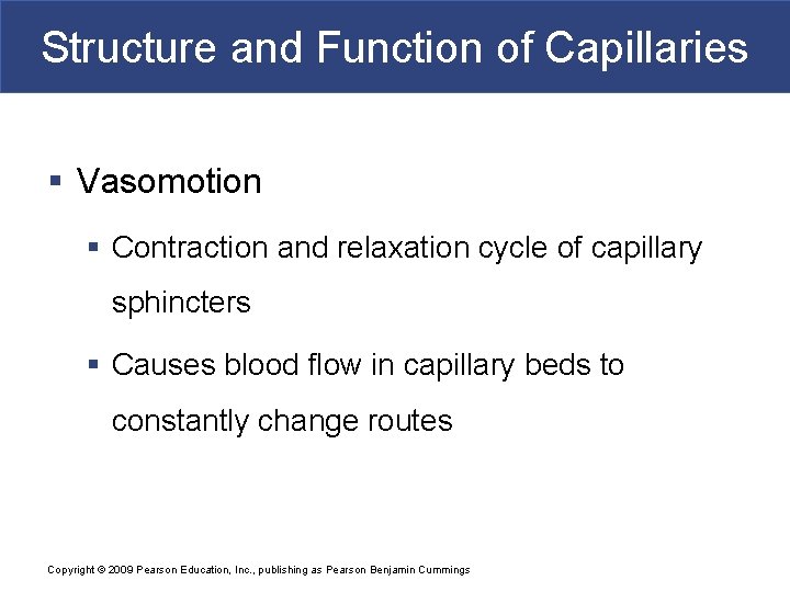 Structure and Function of Capillaries § Vasomotion § Contraction and relaxation cycle of capillary