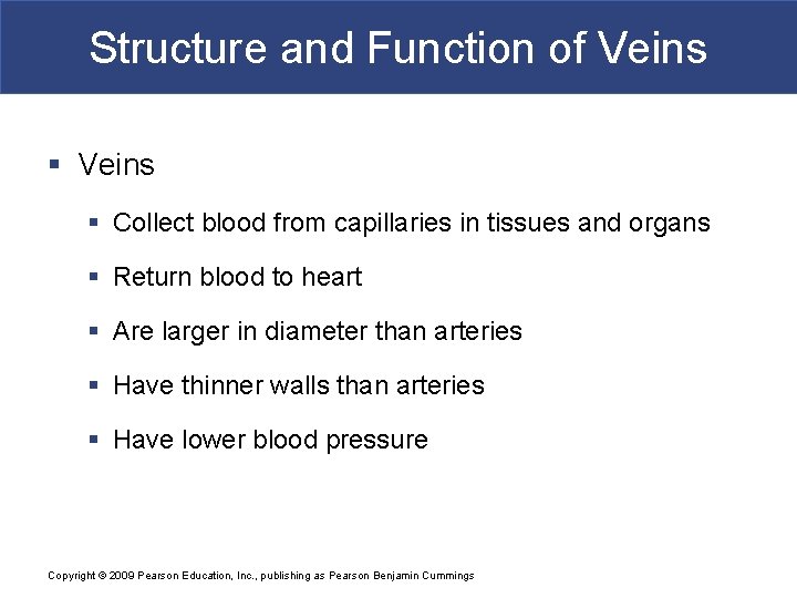 Structure and Function of Veins § Collect blood from capillaries in tissues and organs