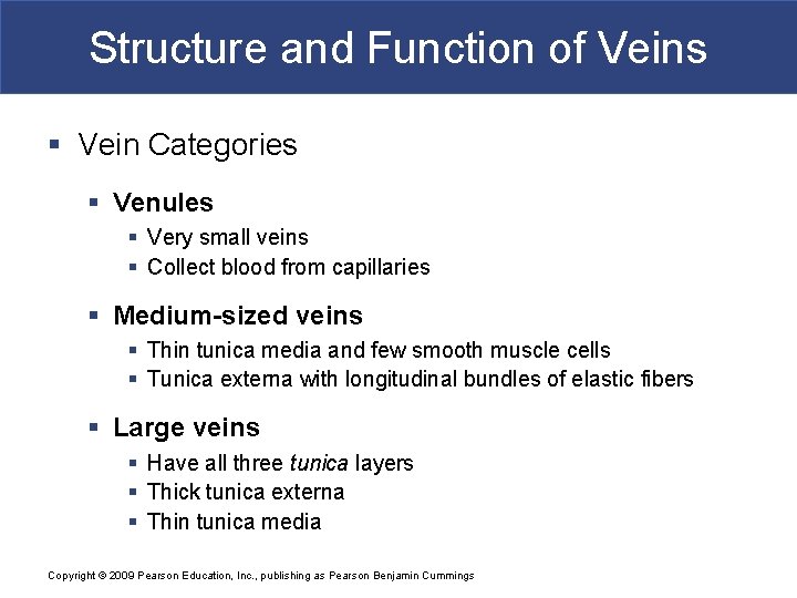 Structure and Function of Veins § Vein Categories § Venules § Very small veins