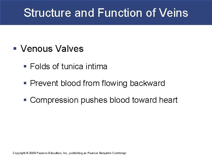 Structure and Function of Veins § Venous Valves § Folds of tunica intima §