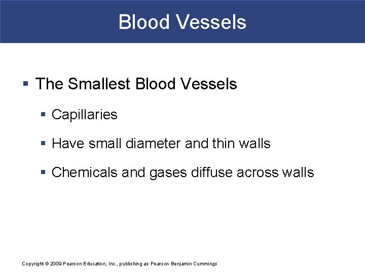 Blood Vessels § The Smallest Blood Vessels § Capillaries § Have small diameter and