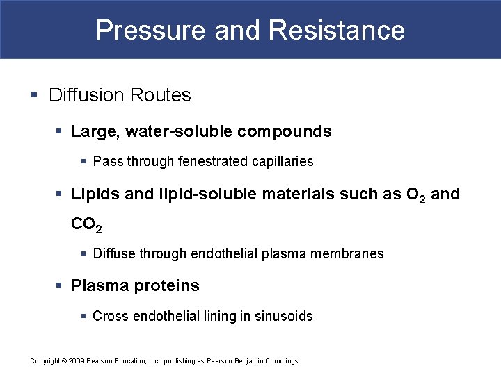 Pressure and Resistance § Diffusion Routes § Large, water-soluble compounds § Pass through fenestrated
