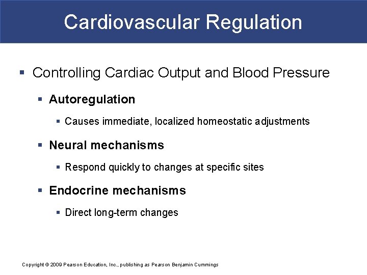 Cardiovascular Regulation § Controlling Cardiac Output and Blood Pressure § Autoregulation § Causes immediate,
