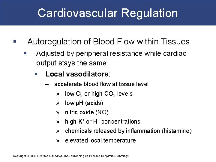 Cardiovascular Regulation § Autoregulation of Blood Flow within Tissues § Adjusted by peripheral resistance