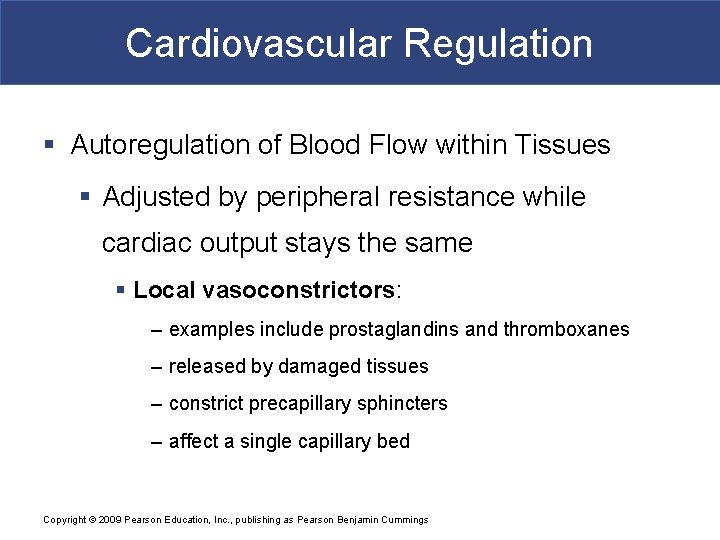 Cardiovascular Regulation § Autoregulation of Blood Flow within Tissues § Adjusted by peripheral resistance