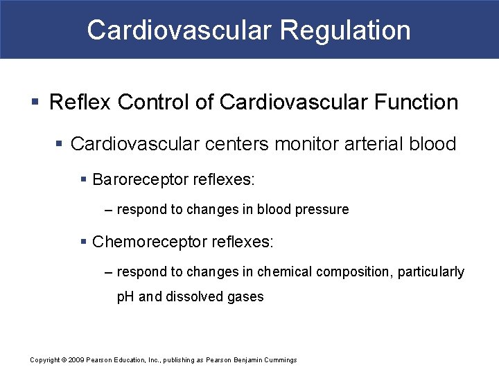 Cardiovascular Regulation § Reflex Control of Cardiovascular Function § Cardiovascular centers monitor arterial blood