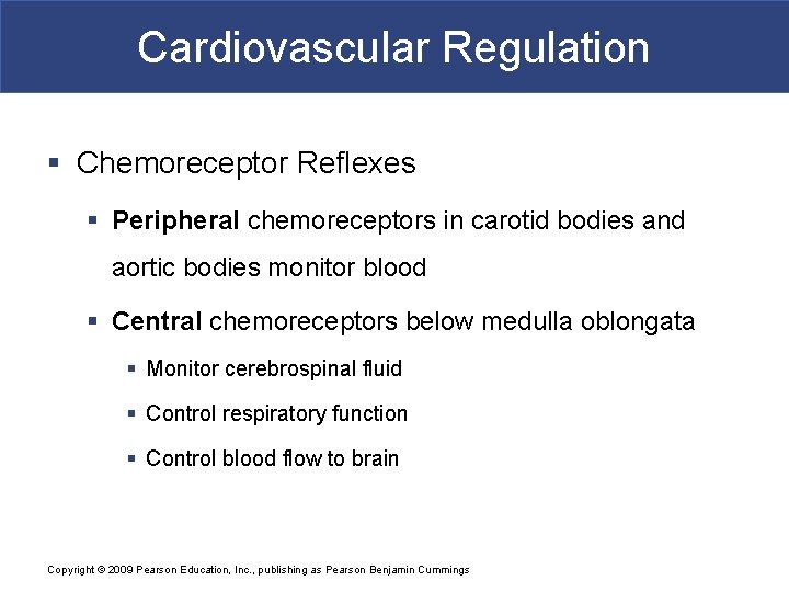 Cardiovascular Regulation § Chemoreceptor Reflexes § Peripheral chemoreceptors in carotid bodies and aortic bodies
