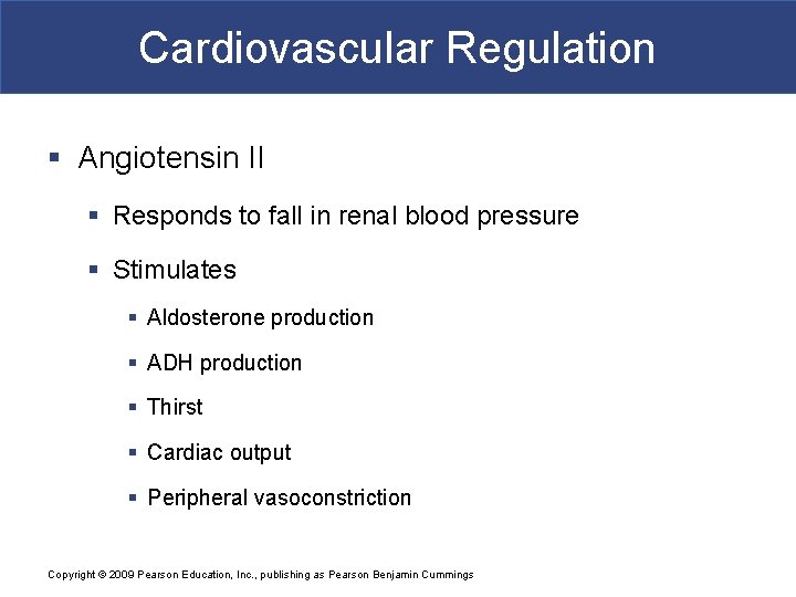 Cardiovascular Regulation § Angiotensin II § Responds to fall in renal blood pressure §