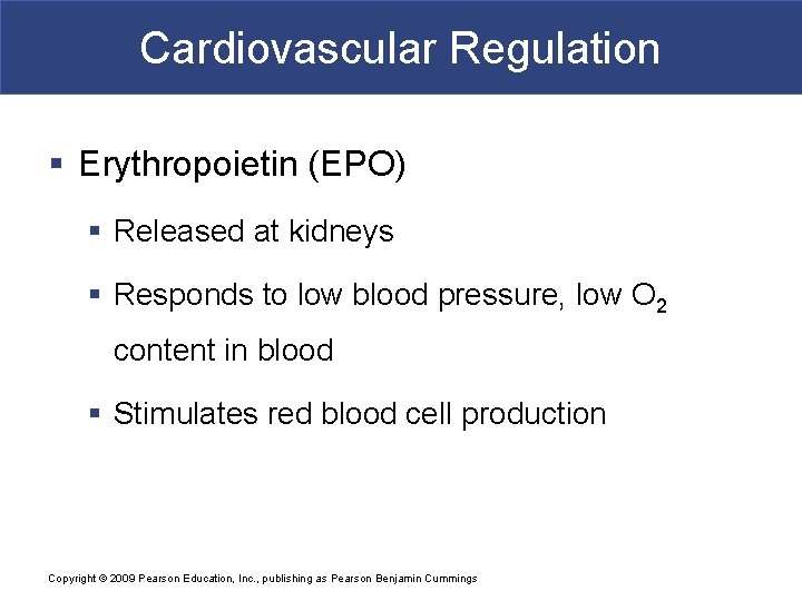 Cardiovascular Regulation § Erythropoietin (EPO) § Released at kidneys § Responds to low blood