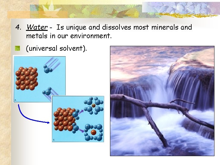 4. Water - Is unique and dissolves most minerals and metals in our environment.