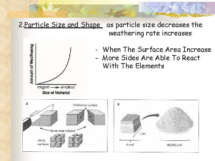 2. Particle Size and Shape as particle size decreases the weathering rate increases -
