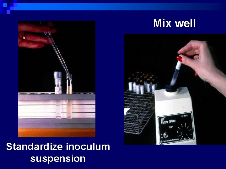 Mix well Standardize inoculum suspension 