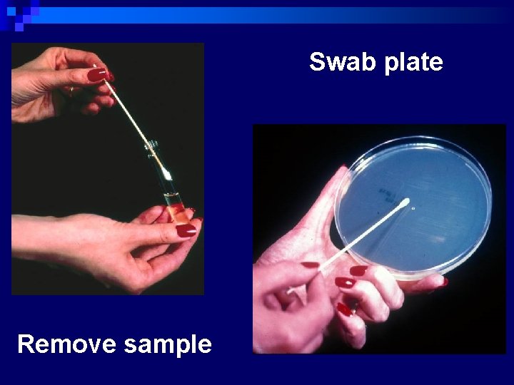 Swab plate Remove sample 