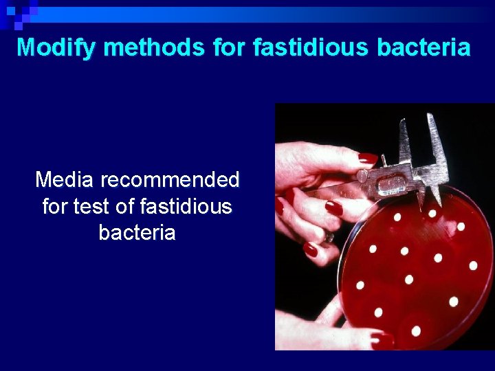 Modify methods for fastidious bacteria Media recommended for test of fastidious bacteria 