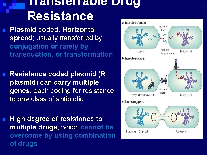 Transferrable Drug Resistance n Plasmid coded, Horizontal spread; usually transferred by conjugation or rarely