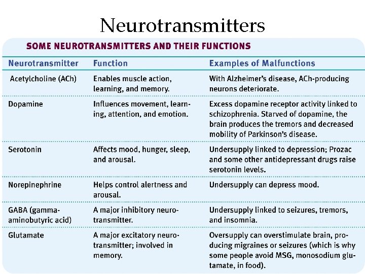 Neurotransmitters 14 