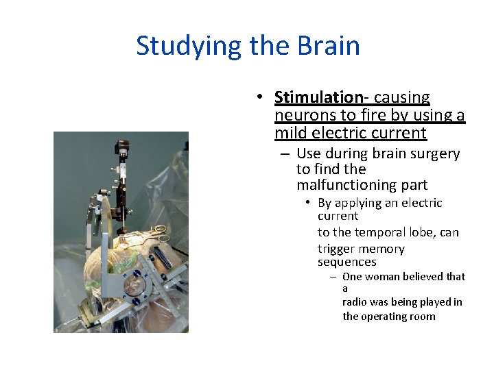 Studying the Brain • Stimulation- causing neurons to fire by using a mild electric