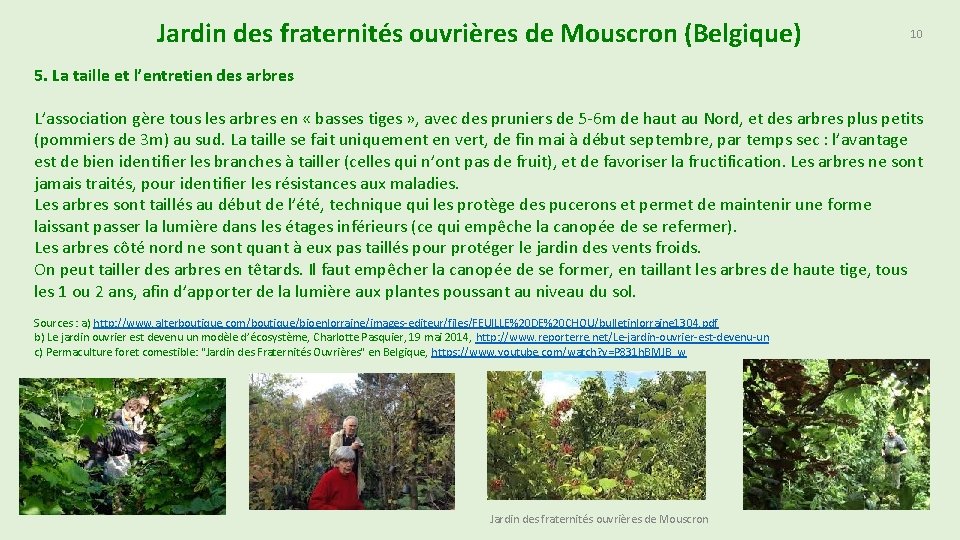 Jardin des fraternités ouvrières de Mouscron (Belgique) 10 5. La taille et l’entretien des