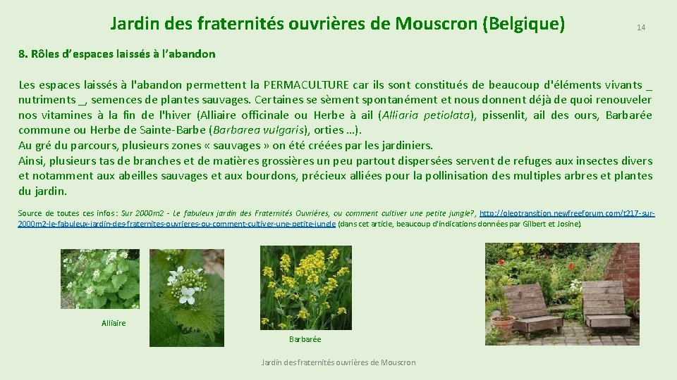 Jardin des fraternités ouvrières de Mouscron (Belgique) 14 8. Rôles d’espaces laissés à l’abandon