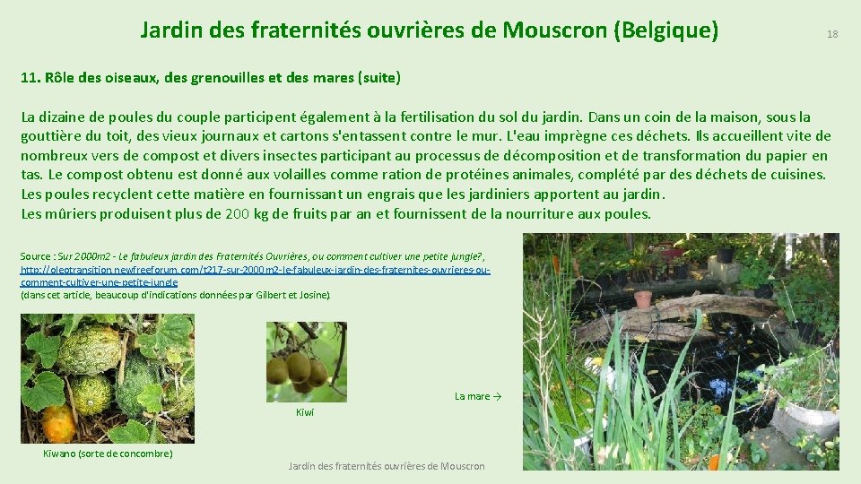 Jardin des fraternités ouvrières de Mouscron (Belgique) 18 11. Rôle des oiseaux, des grenouilles