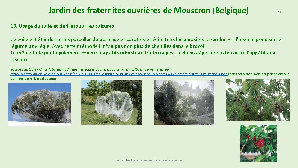 Jardin des fraternités ouvrières de Mouscron (Belgique) 20 13. Usage du tulle et de