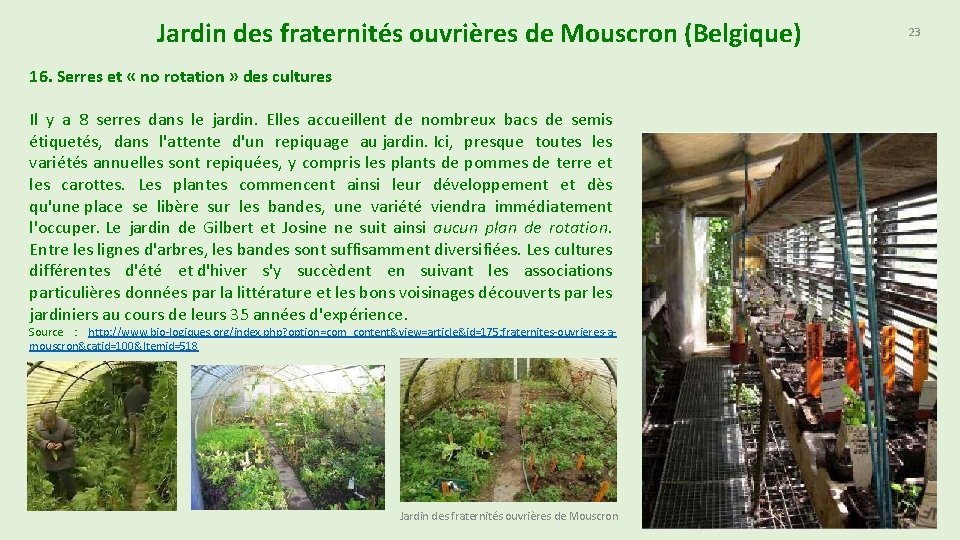 Jardin des fraternités ouvrières de Mouscron (Belgique) 16. Serres et « no rotation »