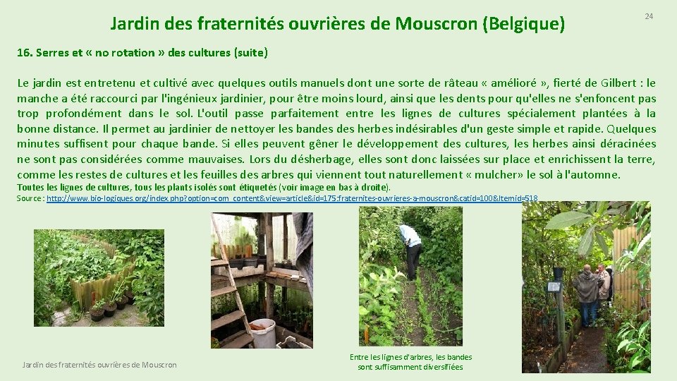 Jardin des fraternités ouvrières de Mouscron (Belgique) 24 16. Serres et « no rotation